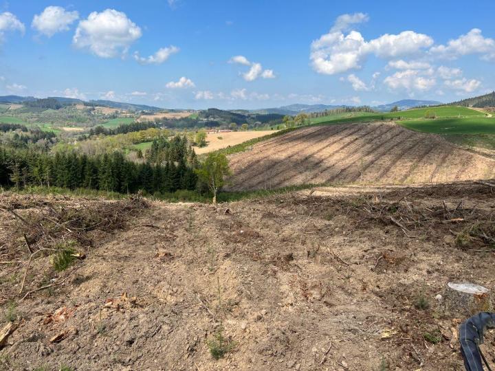 Travaux forestiers Celles-sur-Durolle