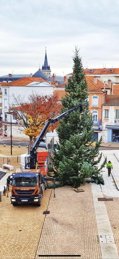 Travaux forestiers Celles-sur-Durolle