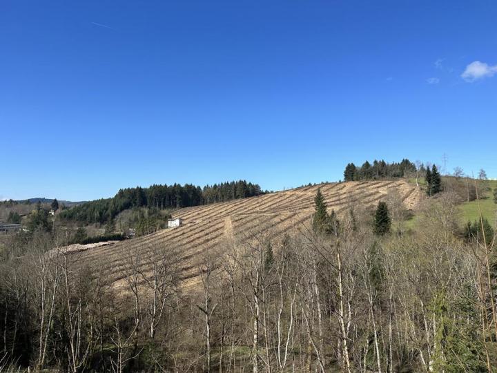 Travaux forestiers Celles-sur-Durolle