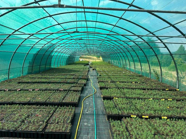 Travaux forestiers Celles-sur-Durolle