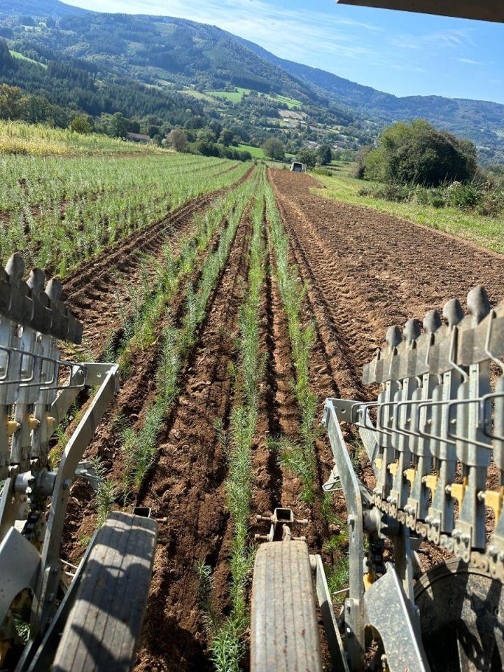 Aménagement forestier Celles-sur-Durolle