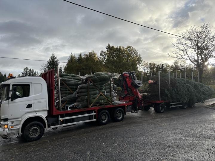 Travaux forestiers Celles-sur-Durolle