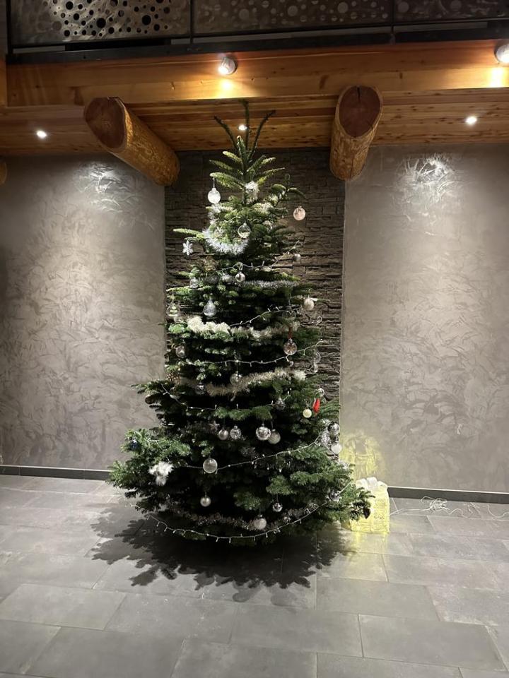 Travaux forestiers Celles-sur-Durolle