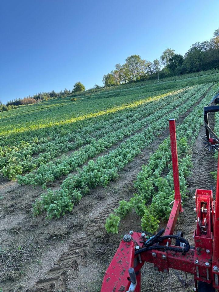 Aménagement forestier Celles-sur-Durolle