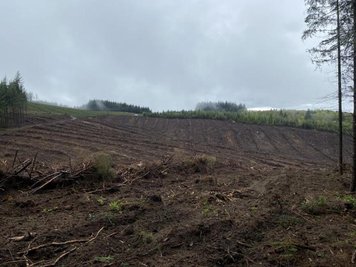 Travaux forestiers Celles-sur-Durolle