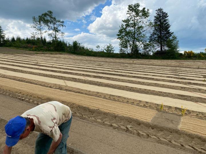 Travaux forestiers Celles-sur-Durolle