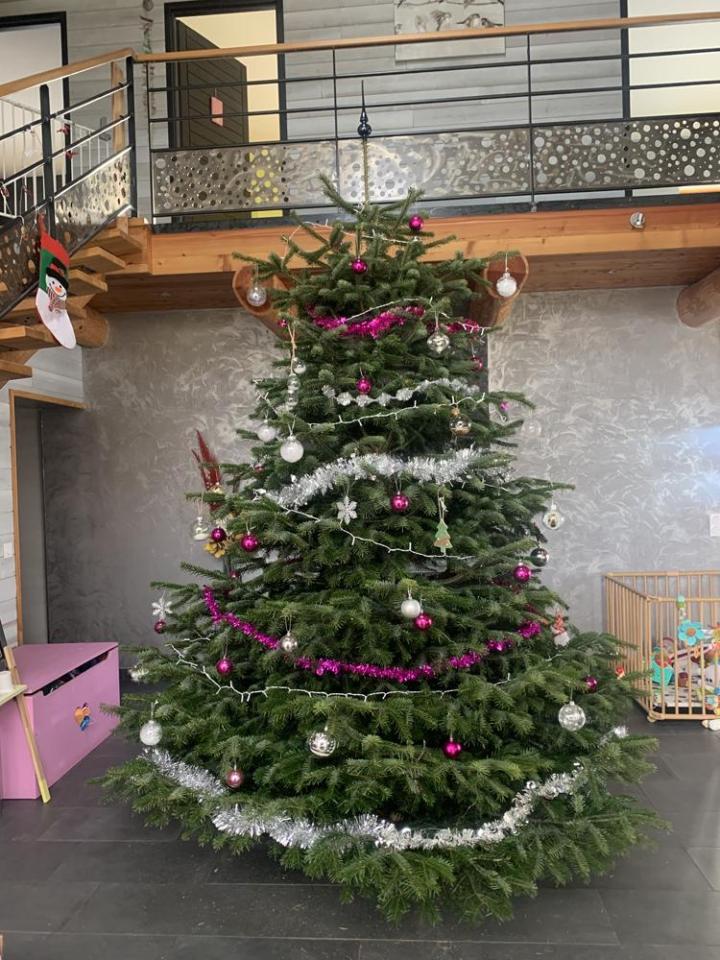 Travaux forestiers Celles-sur-Durolle