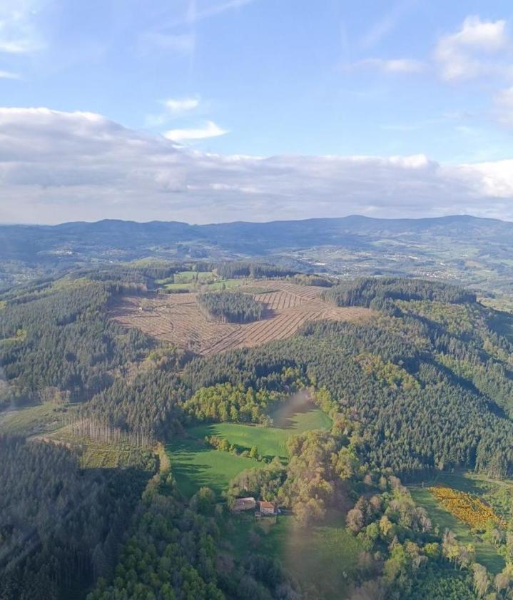 Travaux forestiers Celles-sur-Durolle