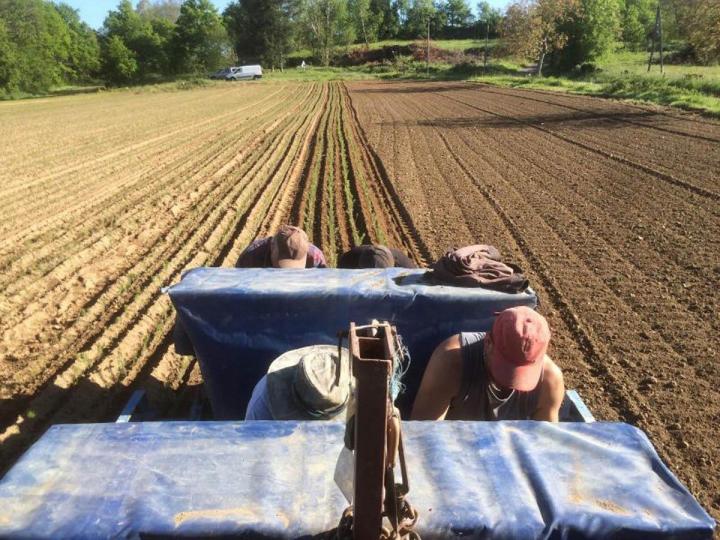 Travaux forestiers Celles-sur-Durolle