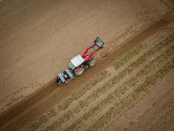 Travaux de reboisement forestier Celles-sur-Durolle