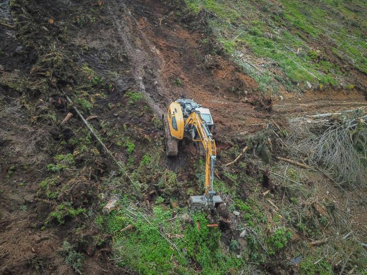 Des spécialistes des travaux forestiers à votre service